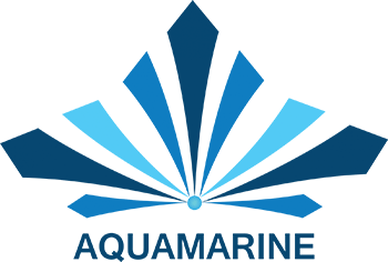 Aquamarine Cruise